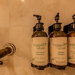 Hotel Dorado Plaza Boutique Calle Del Arsenal